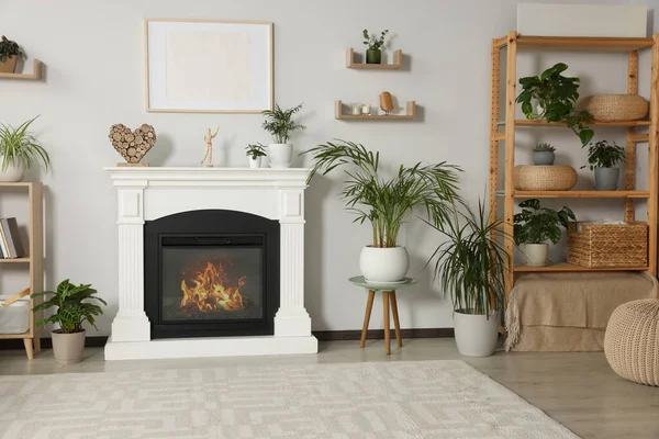 Stilvolles Wohnzimmer Mit Kamin Schrank Und Zimmerpflanzen — Stockfoto