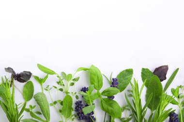 Many different aromatic herbs on white background, flat lay. Space for text