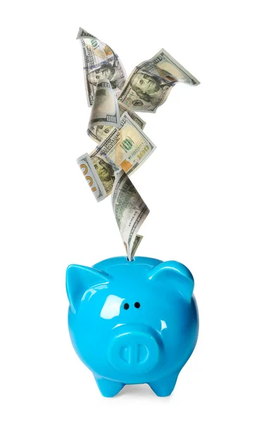 Dollarnoten Fallen Blaues Sparschwein Auf Weißem Hintergrund — Stockfoto