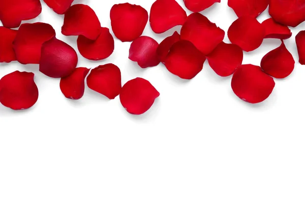 Płatki Róż Czerwony Białym Tle Widok Góry — Zdjęcie stockowe