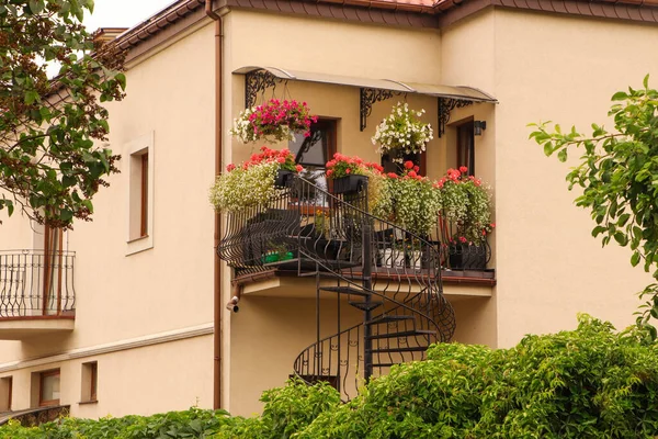 Balcony Decorated Beautiful Blooming Potted Flowers Stairs — Foto de Stock
