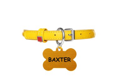 Yellow leather dog collar with bone shaped tag isolated on white clipart