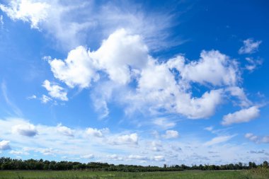 Yeşil tarlanın üzerinde beyaz bulutlar ile mavi gökyüzünün güzel manzarası
