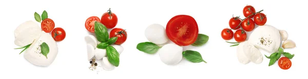 Set Con Deliziosa Mozzarella Pomodori Freschi Basilico Sfondo Bianco Design — Foto Stock