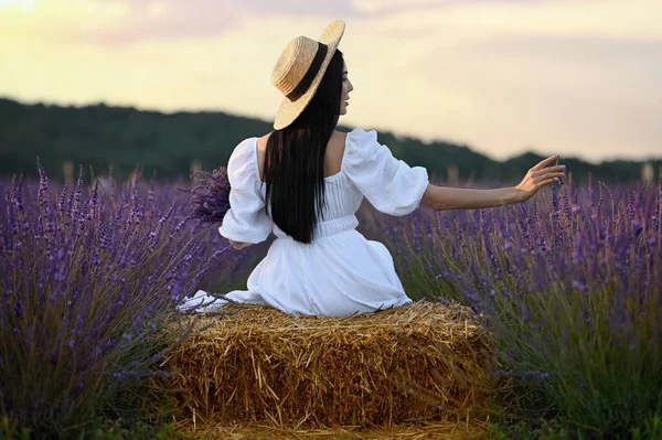 Woman Sitting Hay Bale Lavender Field Back View — Photo