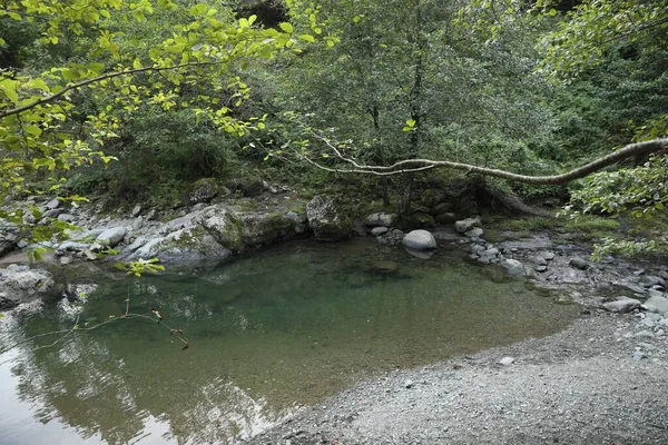 Krásný Výhled Malou Řeku Kamenné Pobřeží Venku — Stock fotografie