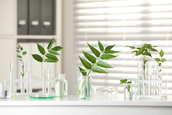 stock image Laboratory glassware with plants on white table