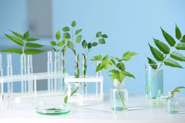 Laboratóriumi Üvegáru Növényekkel Fehér Asztalon — Stock Fotó