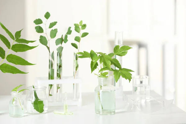 Glaswerk Voor Laboratoria Met Planten Witte Tafel — Stockfoto