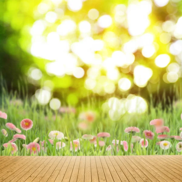 Boş Ahşap Yüzey Yeşil Çayırda Açan Güzel Papatya Çiçeklerinin Bulanık — Stok fotoğraf