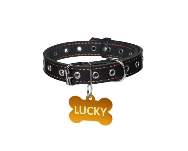 Black leather dog collar with bone shaped tag isolated on white