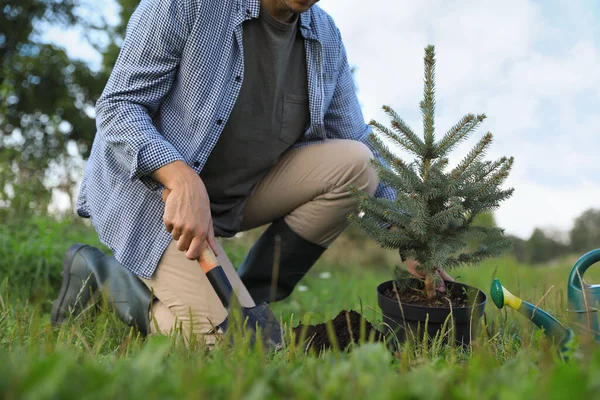 Homem Plantando Conífera Árvore Parque Close — Fotografia de Stock
