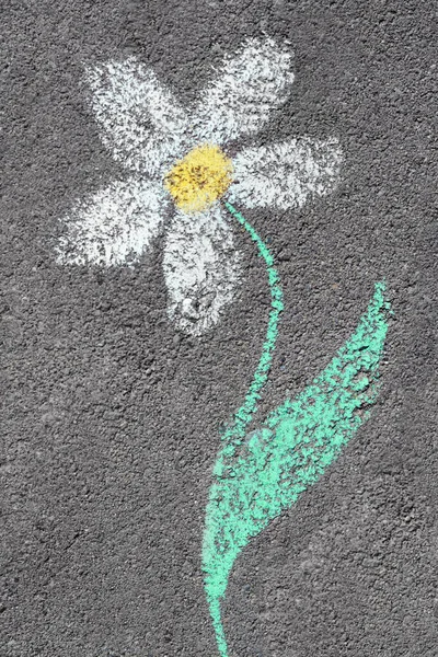 Flower drawn with colorful chalks on asphalt outdoors, top view