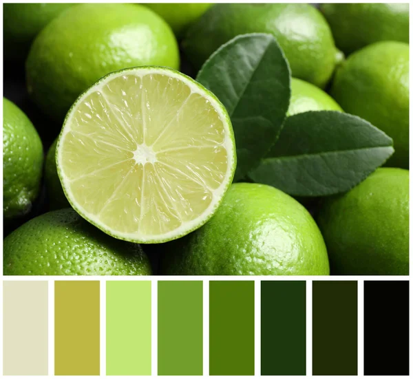 Frische Reife Saftige Limetten Und Farbpalette Collage — Stockfoto