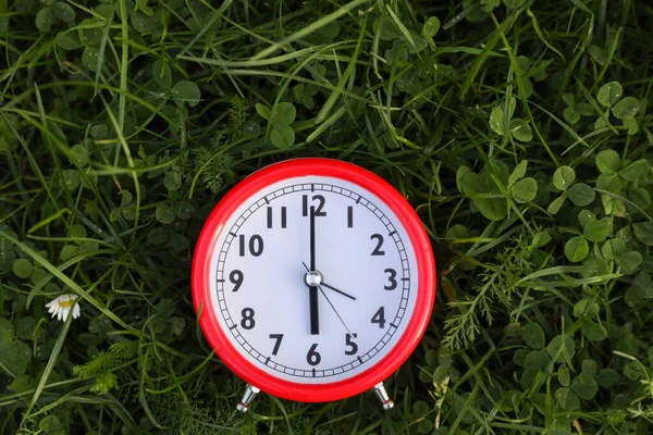 Relógio Alarme Vermelho Grama Verde Livre Vista Superior Espaço Para — Fotografia de Stock