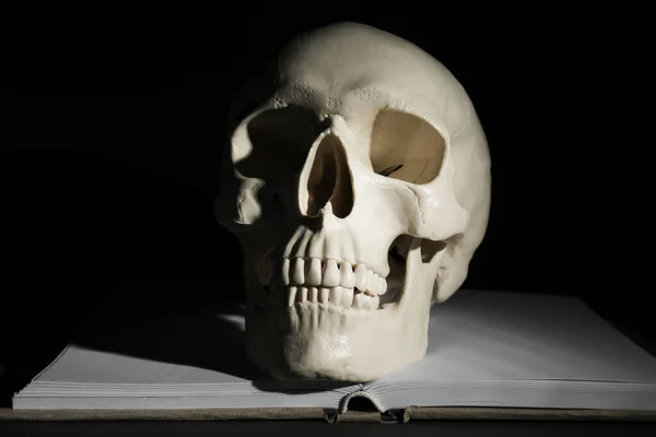 Crânio Humano Branco Com Livro Sobre Fundo Preto — Fotografia de Stock