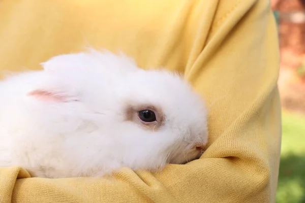 Frau Mit Niedlichen Flauschigen Weißen Haustier Kaninchen Freien Nahaufnahme — Stockfoto