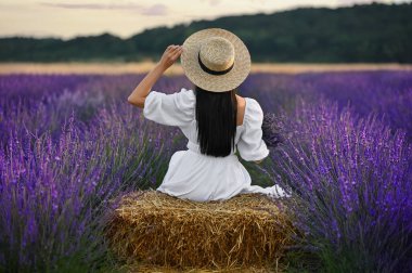 Woman sitting on hay bale in lavender field, back view