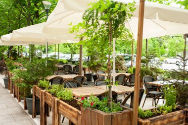 Havalı mobilyaları ve bitkileri olan güzel bir kafe.