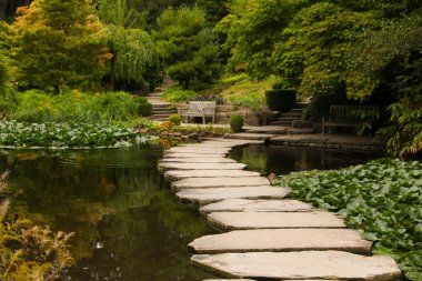Havuzu, taş yolu ve yeşil bitkileri olan güzel bir park manzarası.