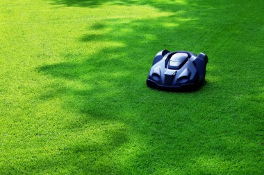 Modern robot lawn mower on green grass in garden