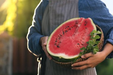 Lezzetli olgun karpuzun yarısını açık havada naneli sepette tutan kadın, yakın plan. Metin için boşluk