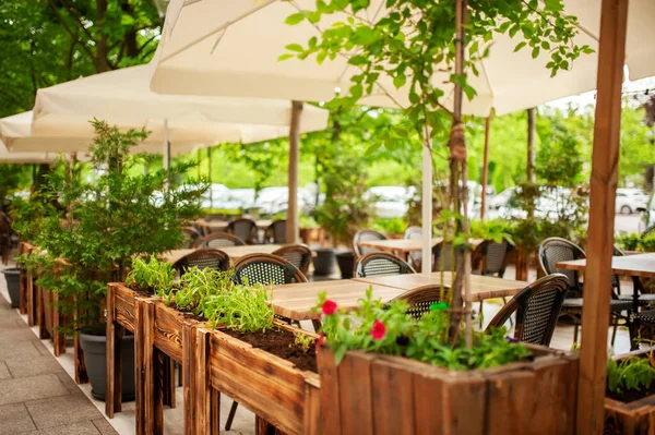 Hermosa Cafetería Con Muebles Elegantes Plantas Aire Libre — Foto de Stock