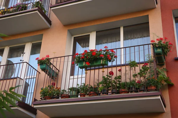 stock image Balcony decorated with beautiful blooming potted plants, low angle view