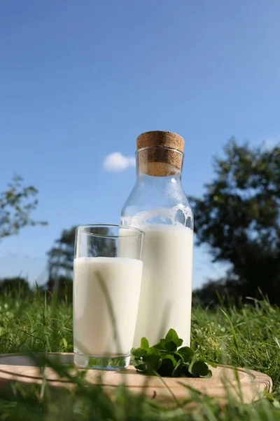 Glas Und Flasche Milch Auf Holzbrett Freien — Stockfoto