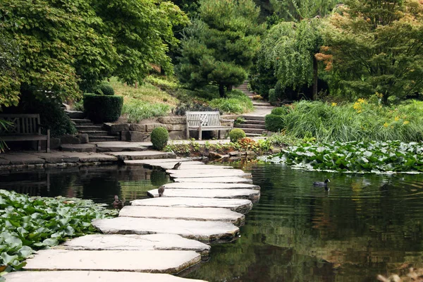 Schöne Aussicht Auf Park Mit Teich Steinweg Und Grünpflanzen — Stockfoto