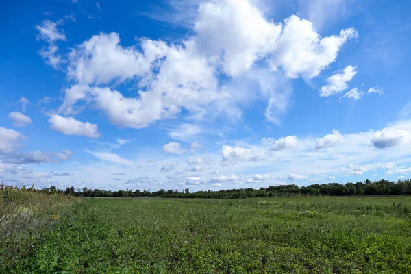 Piękny Widok Błękitne Niebo Białymi Chmurami Nad Zielonym Polem — Zdjęcie stockowe