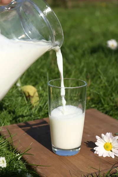 Lekkere Verse Melk Van Kruik Glas Gieten Groen Gras Buiten — Stockfoto