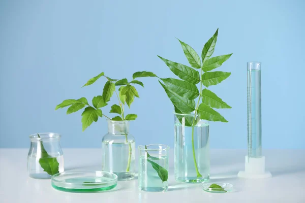 Szkło Laboratoryjne Roślinami Białym Stole — Zdjęcie stockowe