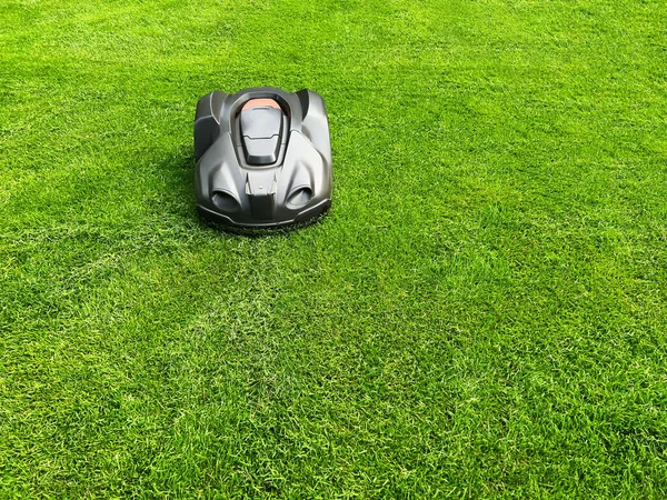 Modern Robot Lawn Mower Green Grass Garden — Stock fotografie