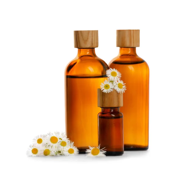 Bottles Chamomile Essential Oil Flowers White Background — Stockfoto