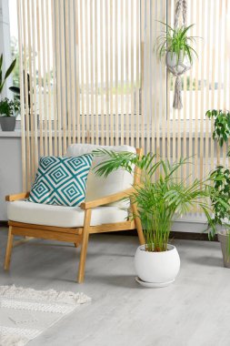 Oturma odasının içinde güzel, farklı saksılar, yeşil bitkiler ve mobilyalar var. Ev dekorasyonu