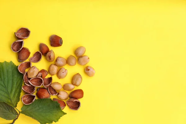 stock image Tasty organic hazelnuts and leaves on yellow background, flat lay. Space for text