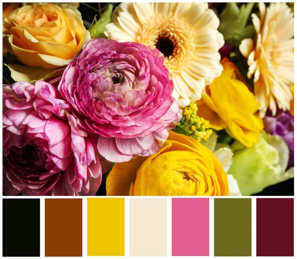 Krásné Čerstvé Květiny Paleta Barev Koláž — Stock fotografie