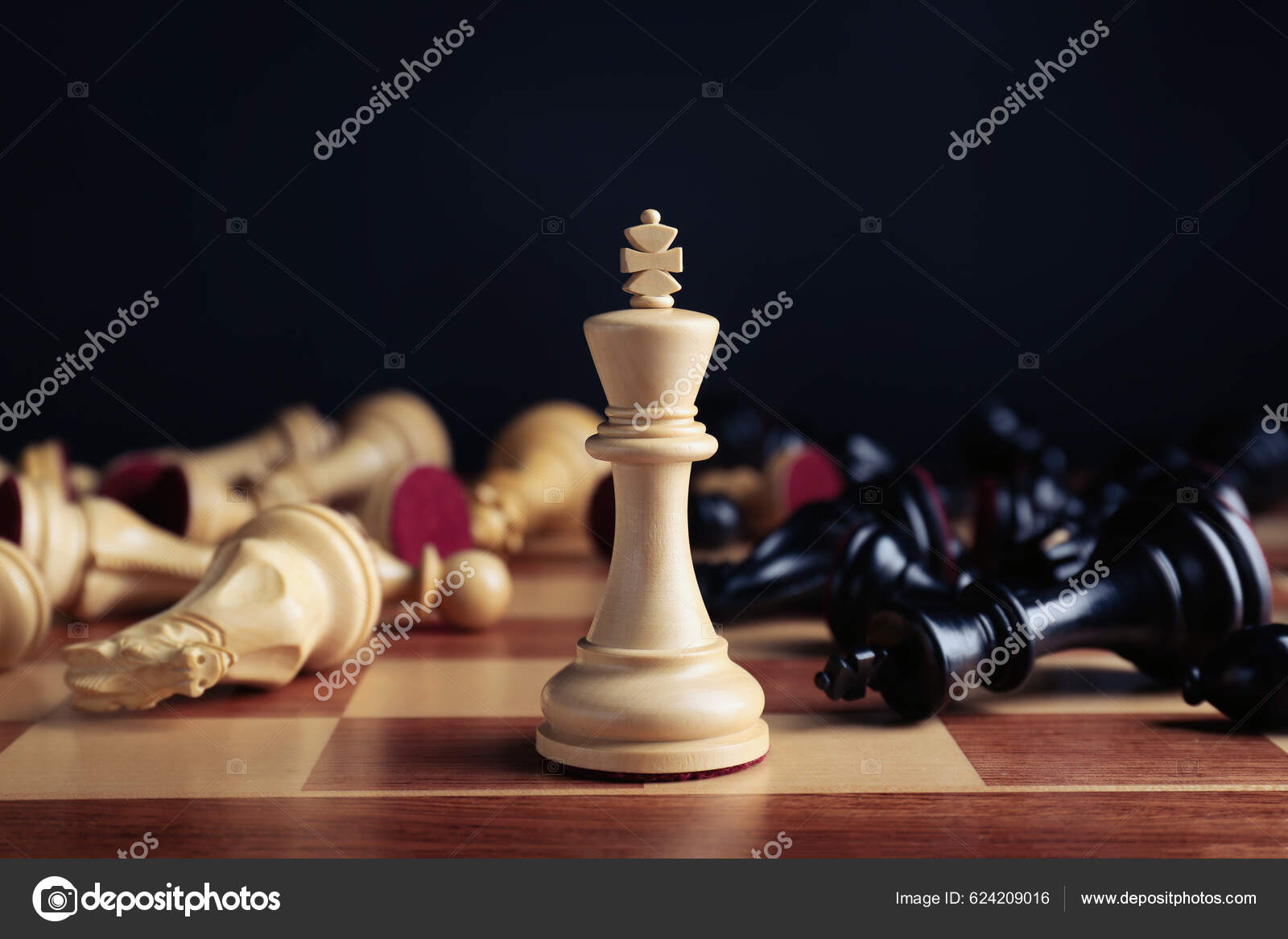 Tabuleiro de Xadrez com Rei Branco e Peão Preto banco de imagens