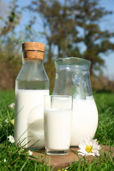 屋外で緑の芝生の上で新鮮な牛乳とガラス — ストック写真