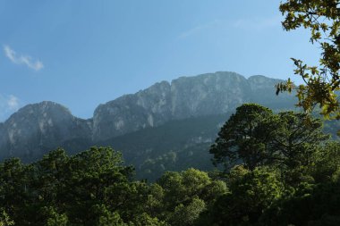 Bulutlu gökyüzünün altında büyük dağlar ve ağaçlar