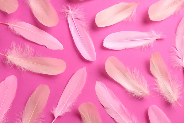 Beautiful Feathers Light Pink Background Flat Lay — Fotografia de Stock