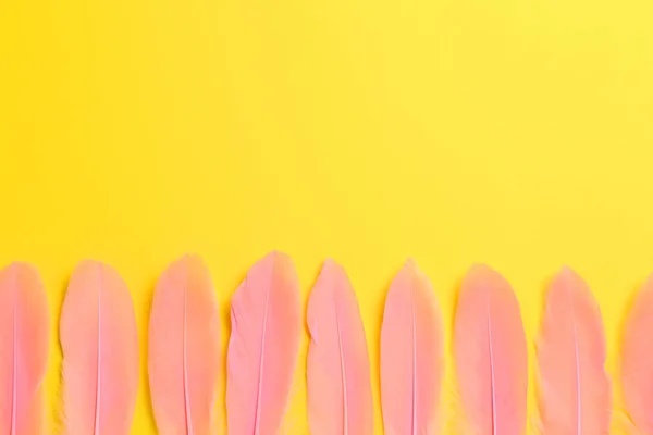 Beautiful Pink Feathers Yellow Background Flat Lay Space Text — Stock Fotó