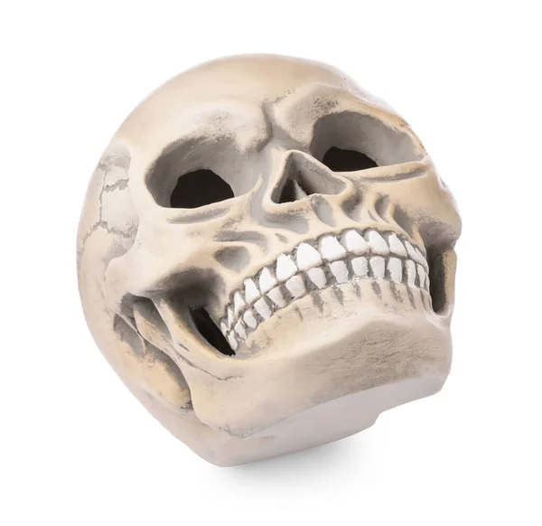 Beyaz Dişli Insan Kafatası — Stok fotoğraf