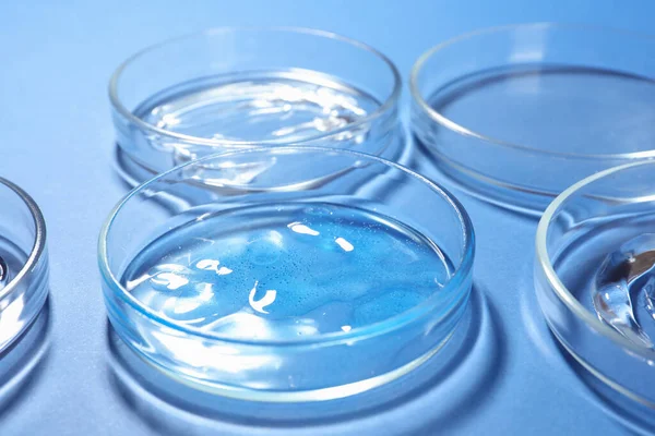 Petri dishes with liquids on blue background, closeup