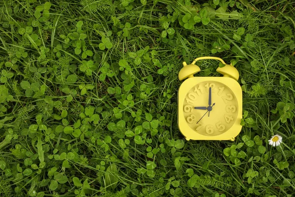 Relógio Alarme Amarelo Grama Verde Livre Vista Superior Espaço Para — Fotografia de Stock