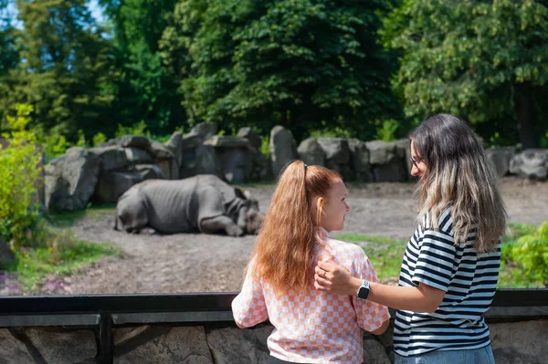Γυναίκα Την Κόρη Της Κοιτάζει Άγριους Ρινόκερους Στο Ζωολογικό Κήπο — Φωτογραφία Αρχείου