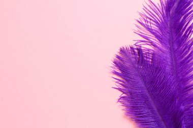 Beautiful violet feathers on pink background, top view. Space for text