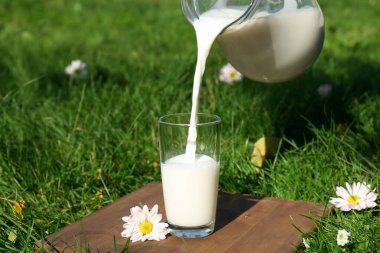 Lezzetli taze sütü dışarıdaki yeşil çimlerde bardağa dökerek.