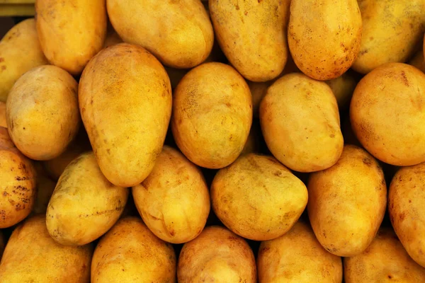 stock image Pile of delicious ripe yellow mangoes, closeup